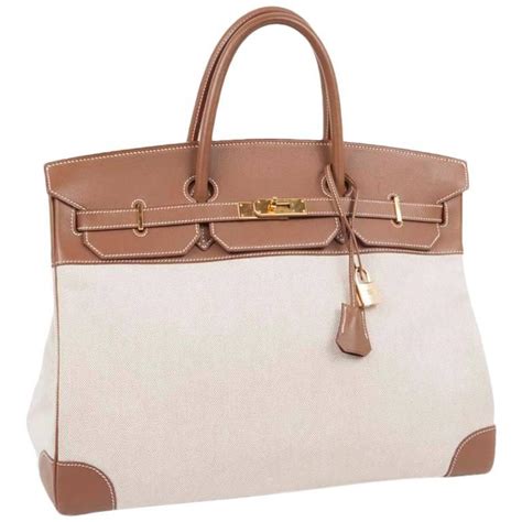 hermes lindy canvas|Hermes lindy bags.